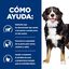 12 kg Hill's Prescription Diet j/d Metabolic + Mobility pienso para perros, , large indicador imagen numero 4
